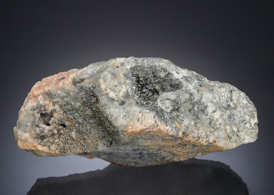 CC27803 specimen image