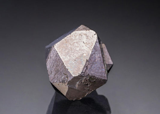 CC27811 specimen image