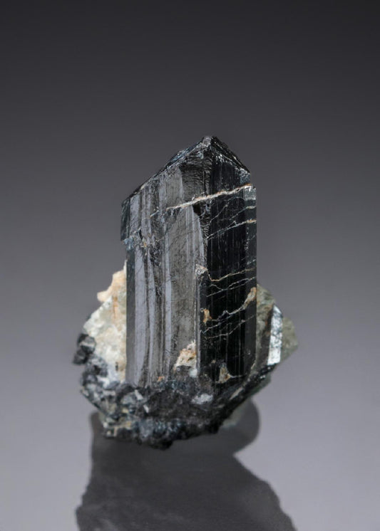 CC27827 specimen image