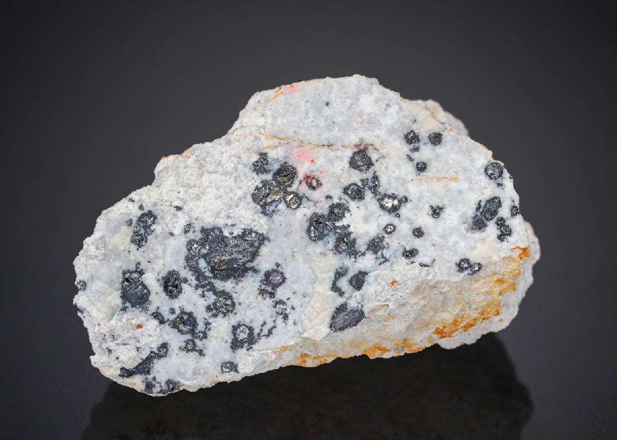 CC27837 specimen image