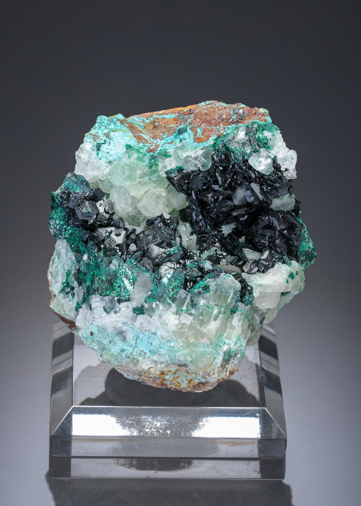 CC27843 specimen image