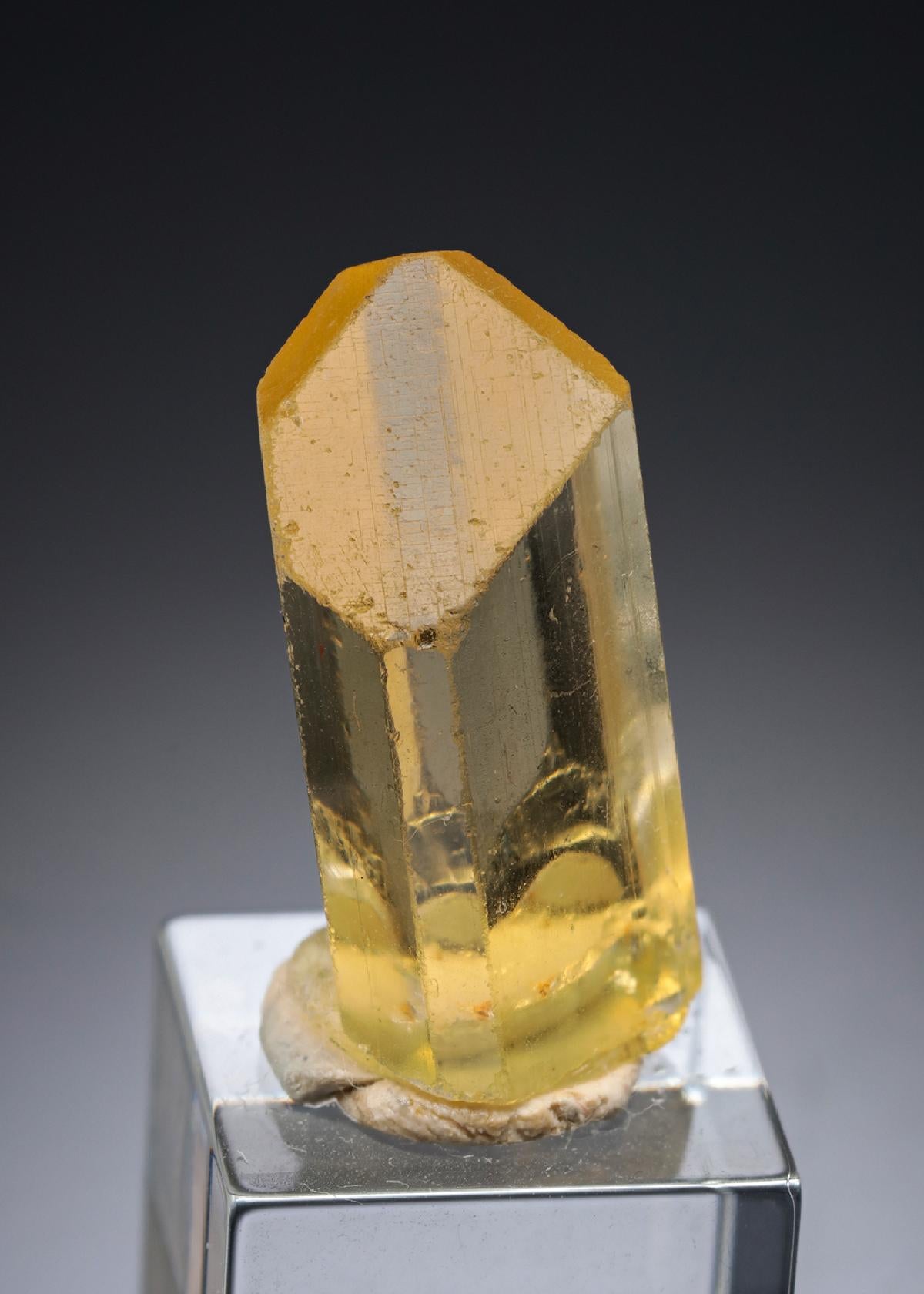 CC27845 specimen image