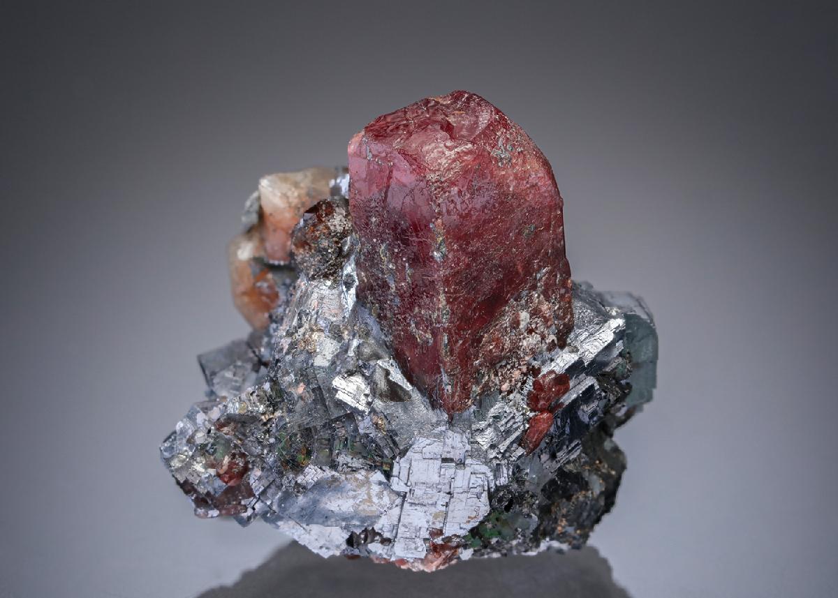 CC27857 specimen image