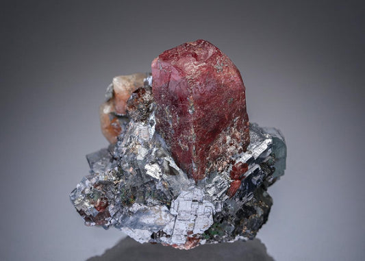 CC27857 specimen image