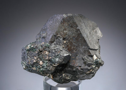 CC27861 specimen image