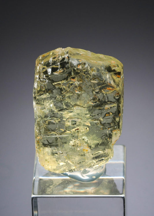 CC27863 specimen image