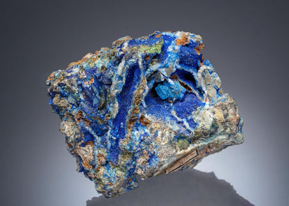 CC27881 specimen image