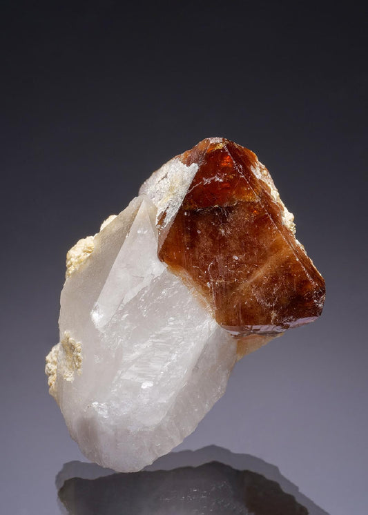 CC27899 specimen image