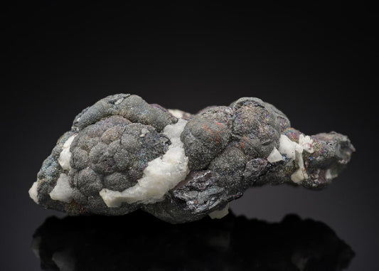 CC27909 specimen image