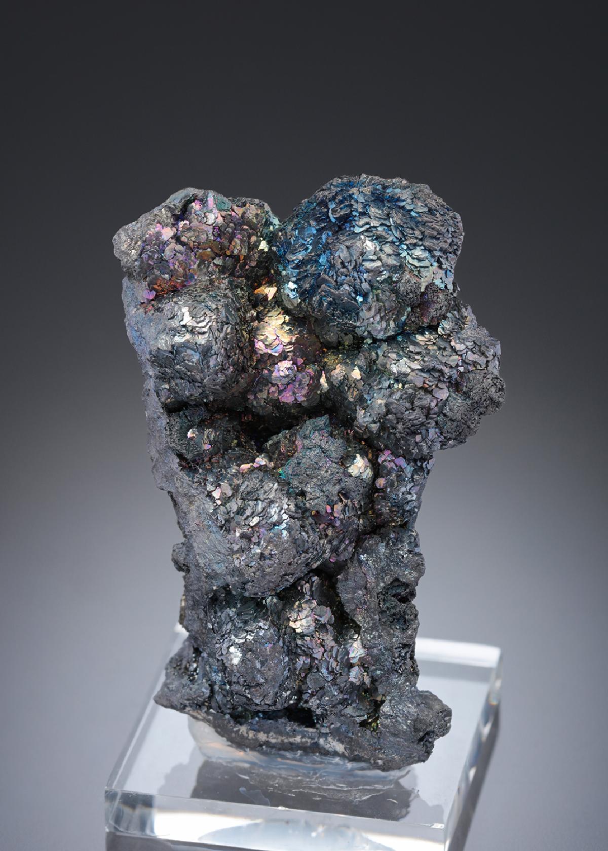 CC27939 specimen image