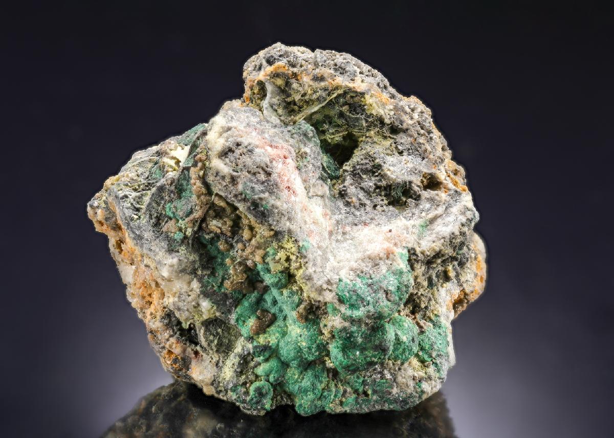 CC27961 specimen image