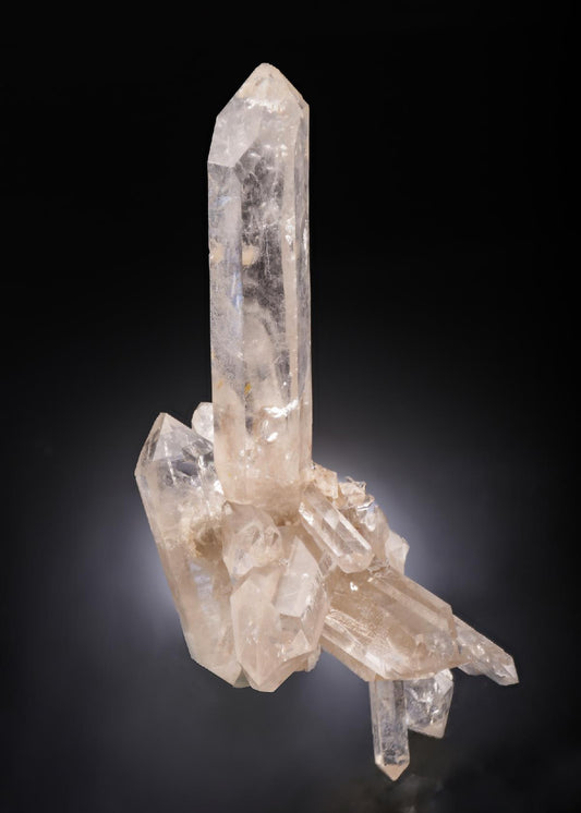 CC27971 specimen image