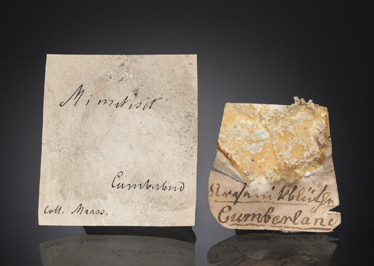 CC27983 specimen image