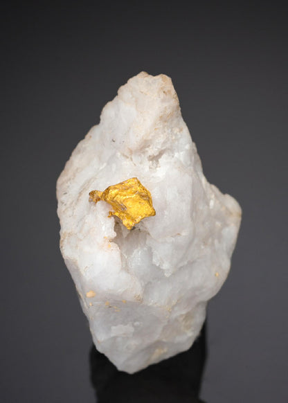 CC27985 specimen image