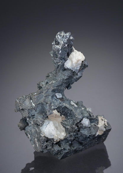 CC28003 specimen image