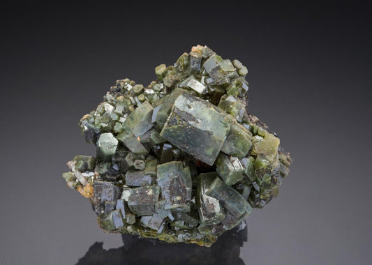 CC28007 specimen image