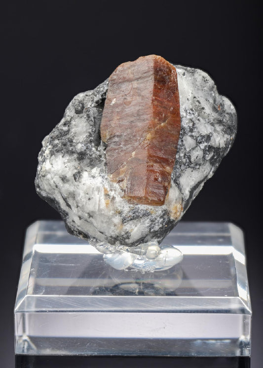 CC28013 specimen image