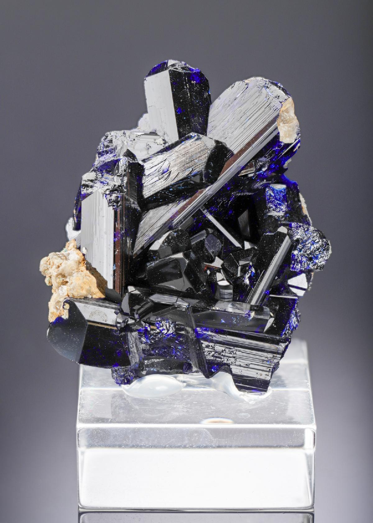 CC28019 specimen image