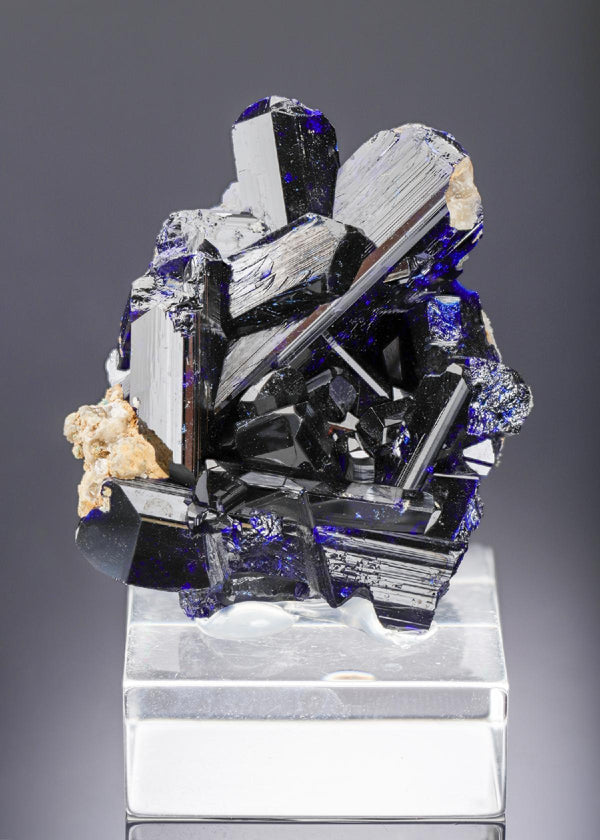 CC28019 specimen image