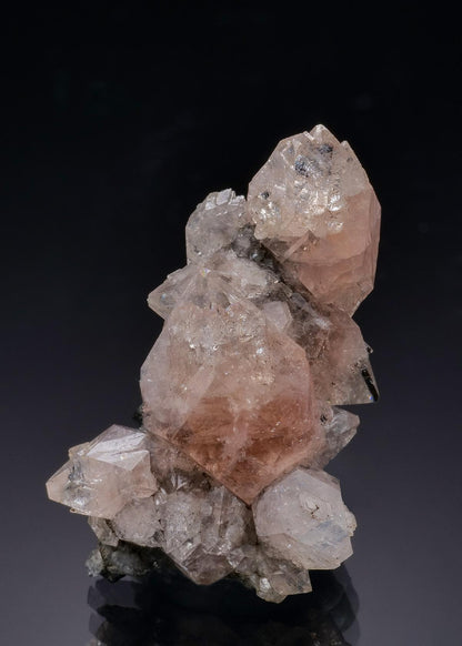 CC28041 specimen image