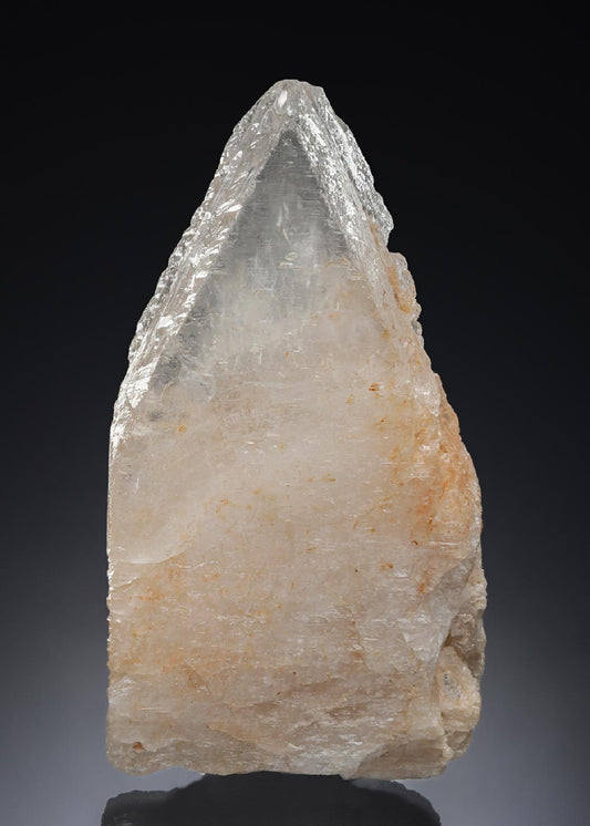 CC28051 specimen image