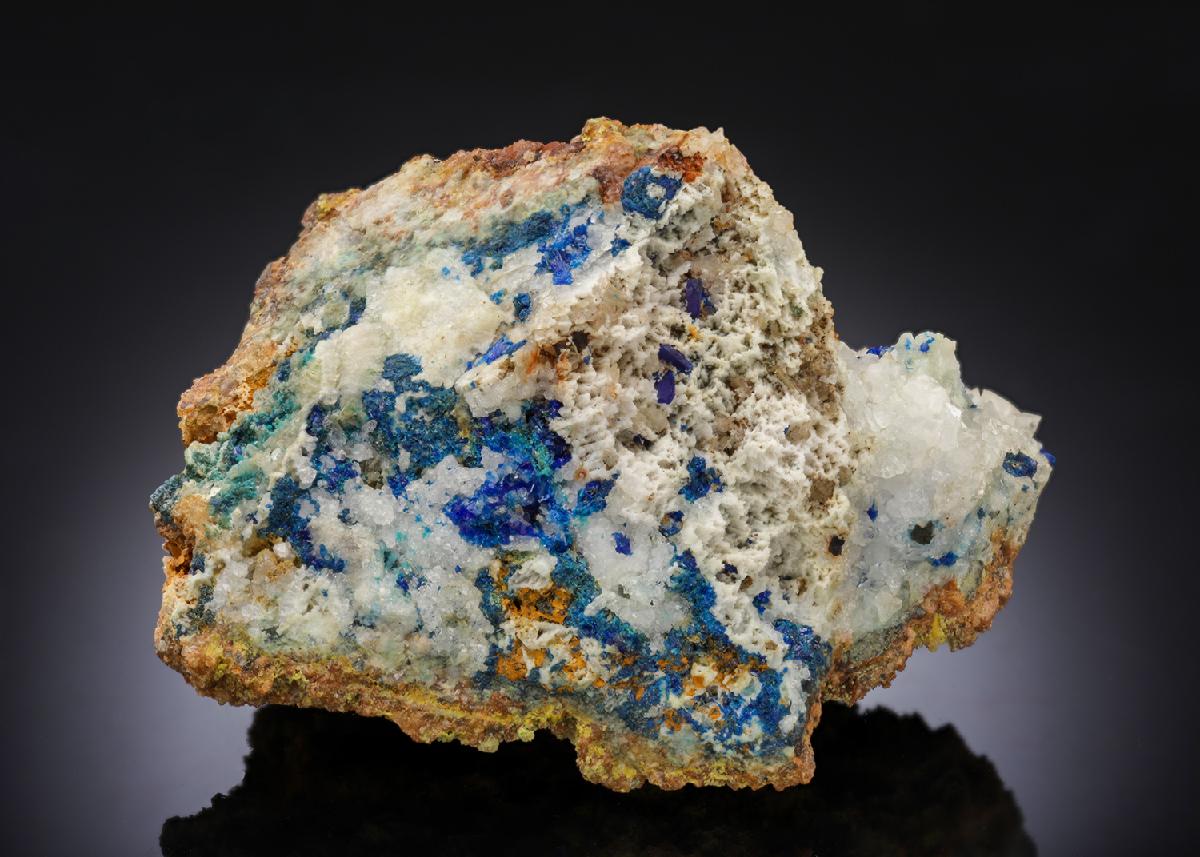 CC28061 specimen image