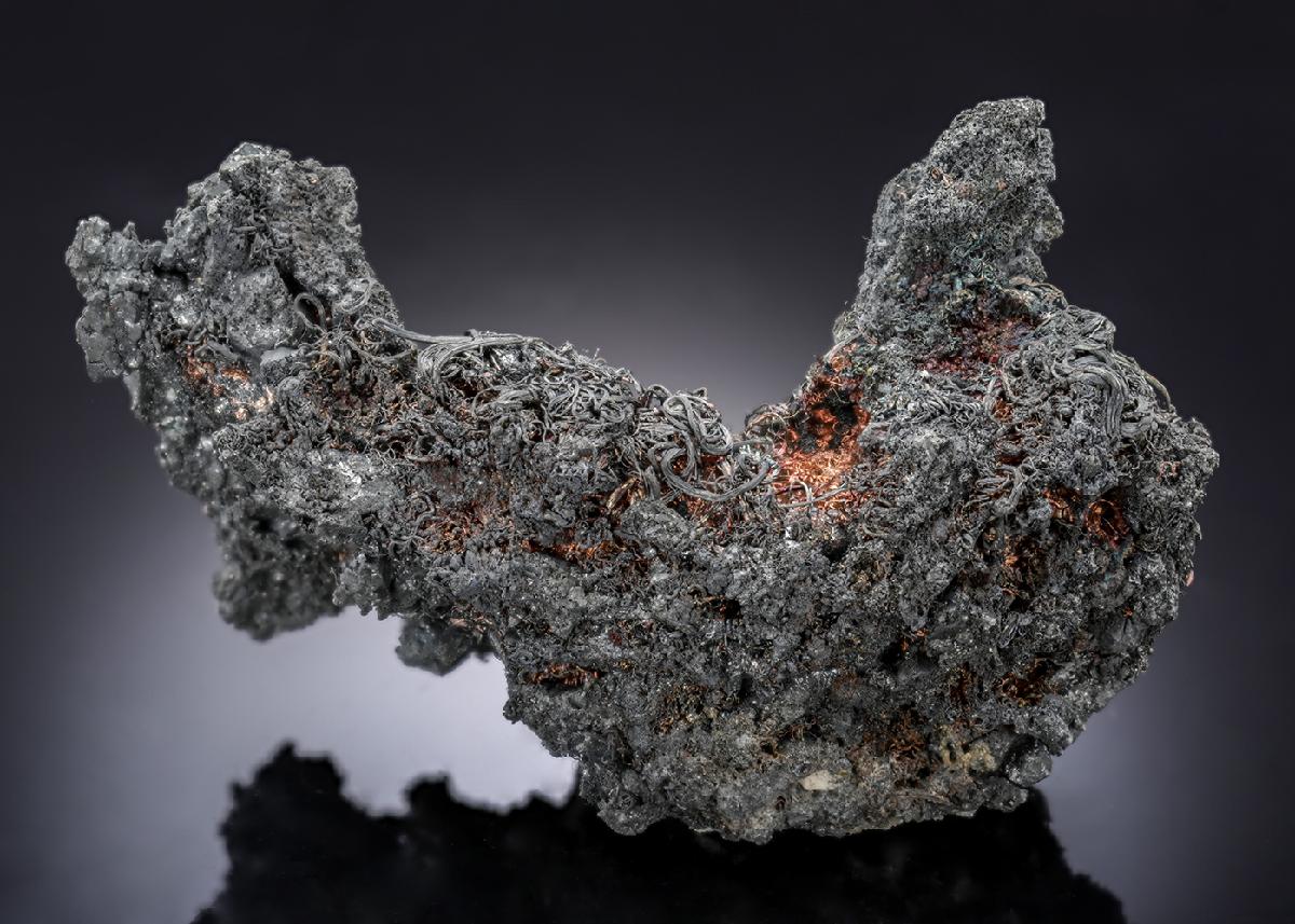 CC28073 specimen image