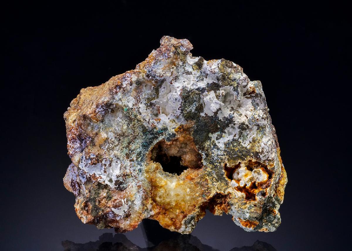 CC28083 specimen image