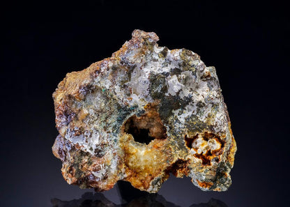 CC28083 specimen image
