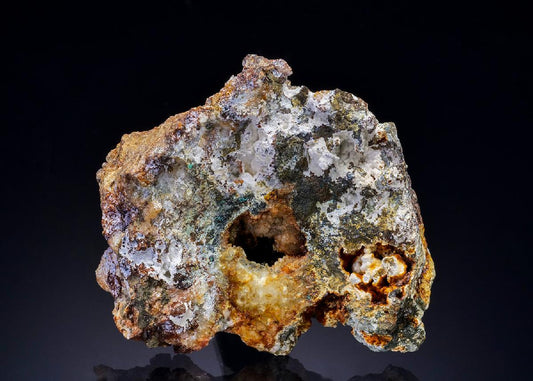 CC28083 specimen image