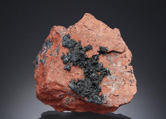 CC28087 specimen image