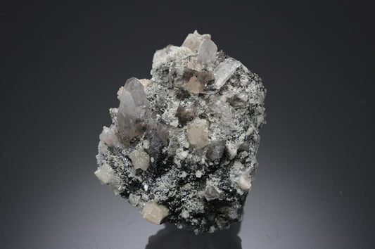 CC28089 specimen image