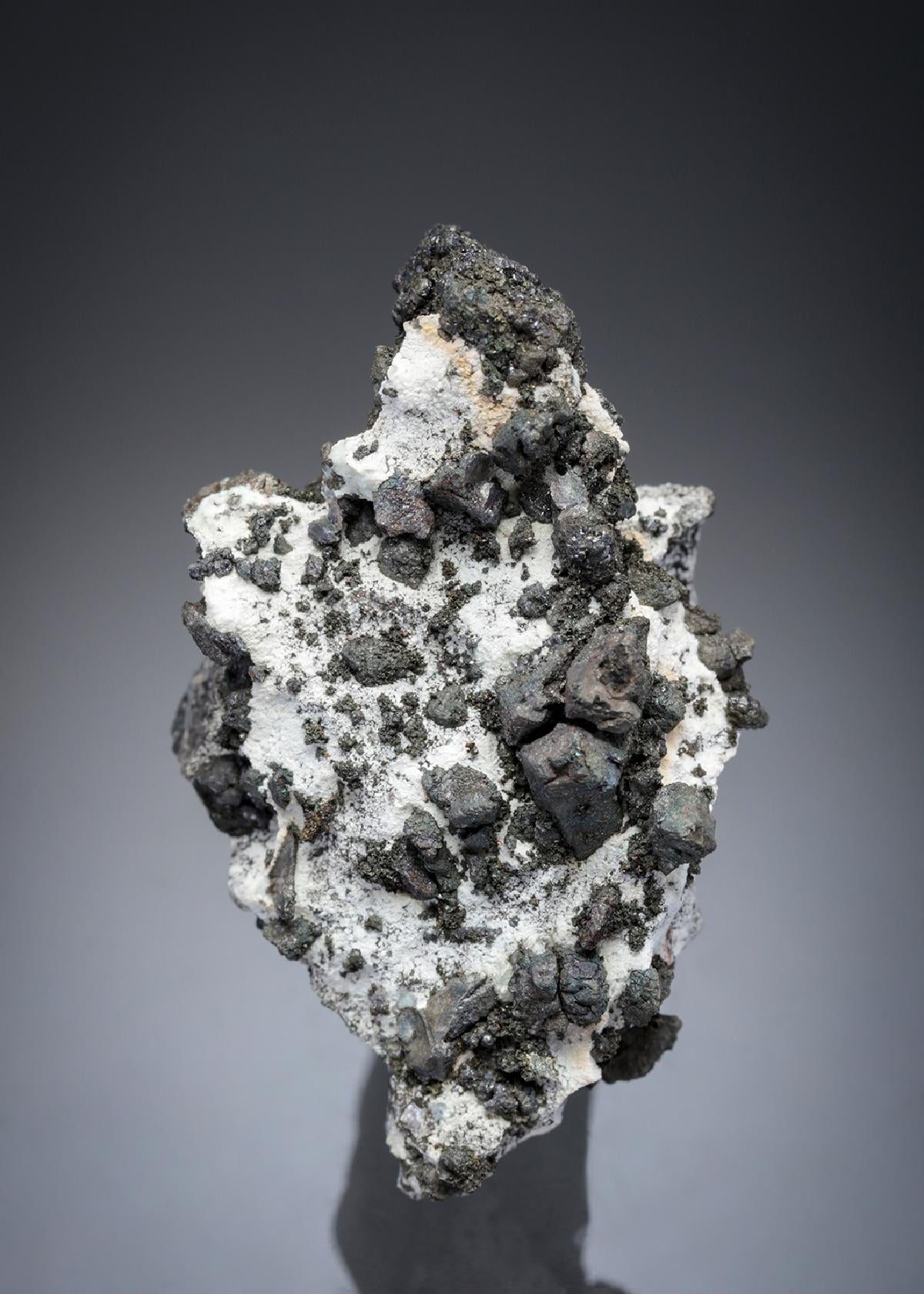 CC28107 specimen image
