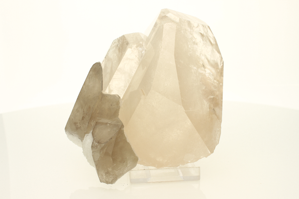 CC2811 specimen image