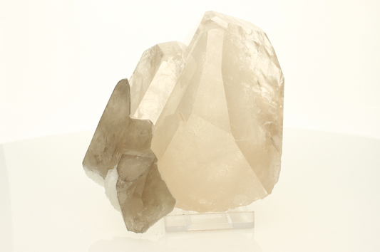 CC2811 specimen image