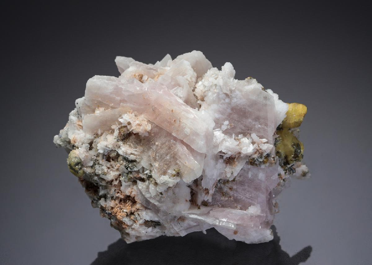 CC28115 specimen image