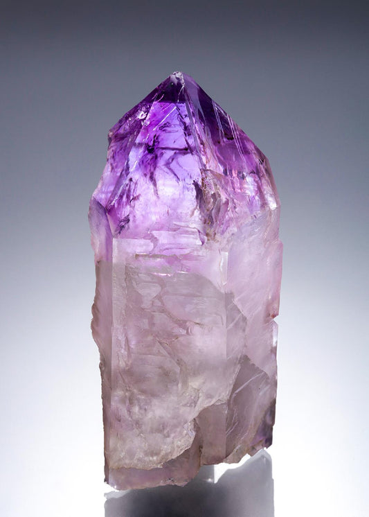 CC28131 specimen image