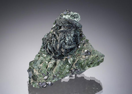 CC28157 specimen image