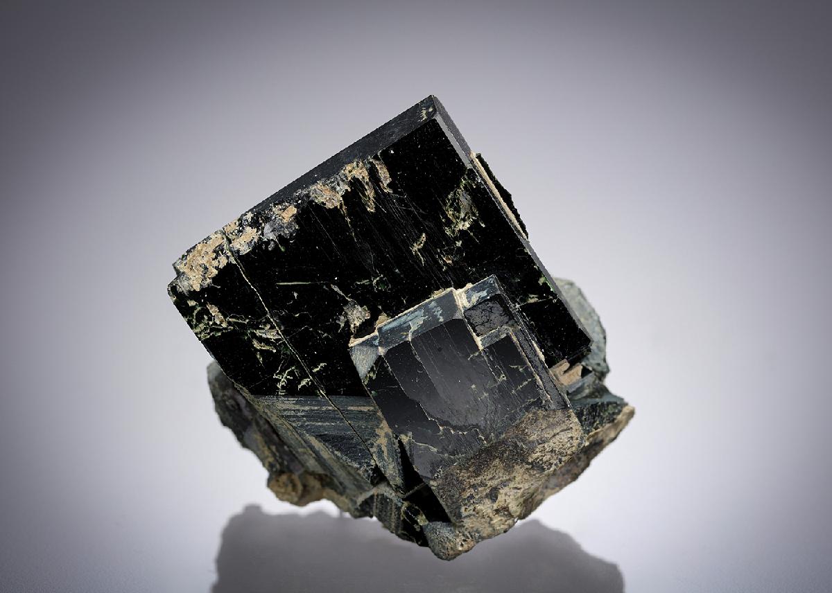 CC28159 specimen image