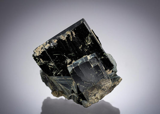 CC28159 specimen image