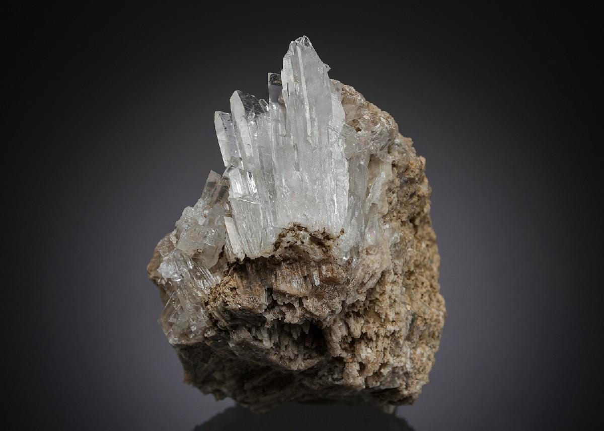 CC28163 specimen image