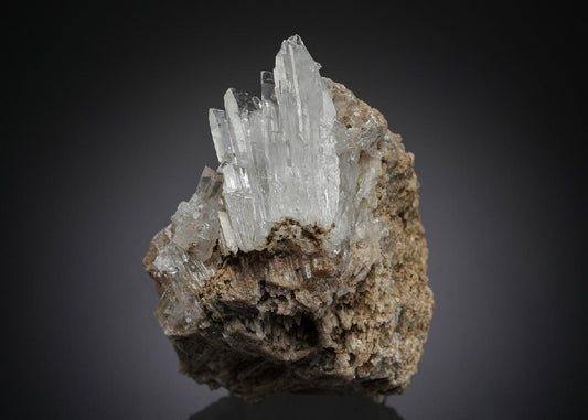 CC28163 specimen image