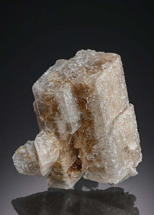 CC28179 specimen image