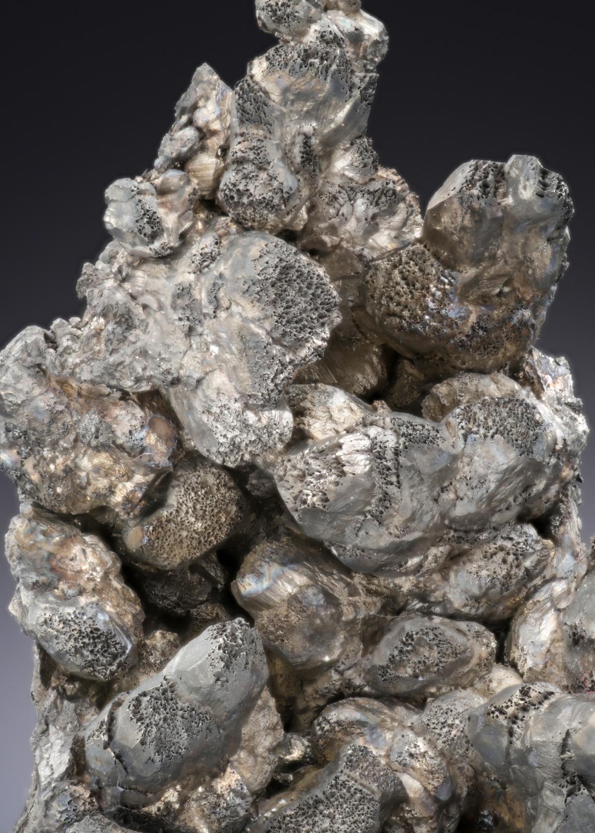 CC28183 specimen image