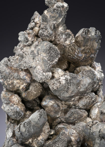 CC28183 specimen image