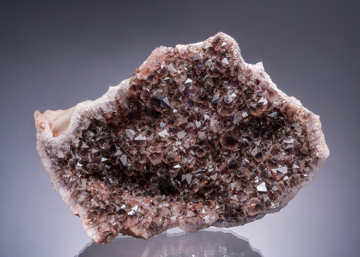 CC28185 specimen image
