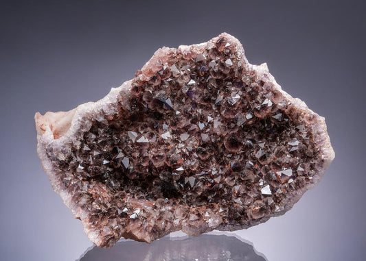 CC28185 specimen image