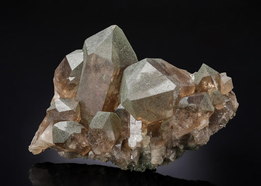 CC28189 specimen image