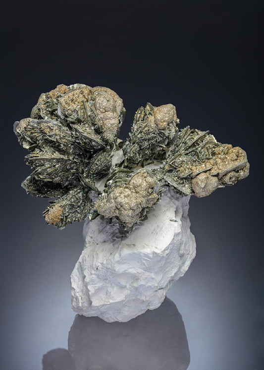 CC28193 specimen image