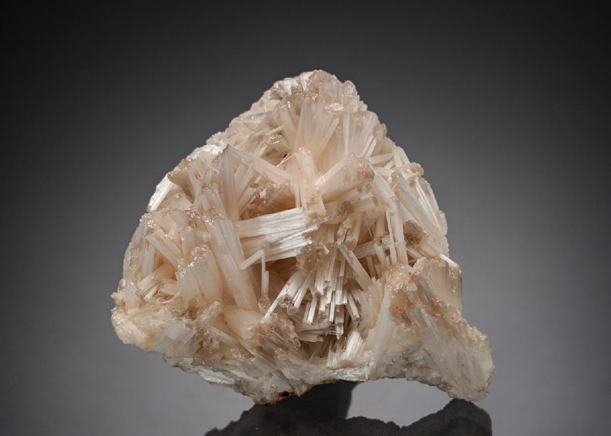 CC28199 specimen image